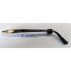 Branche Cartier CT0318O 002