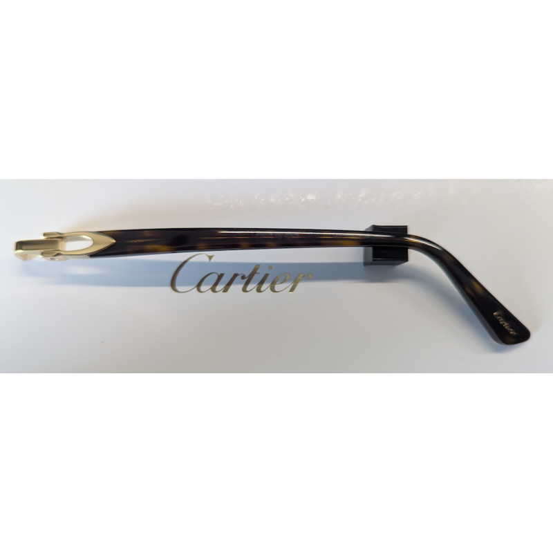 Branche Cartier CT0318O 002