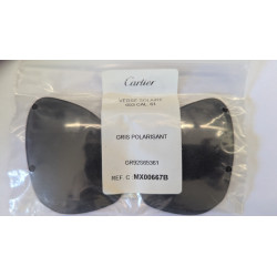 Verres MX00667B